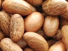 Screenshot 2025 11 03 19 02 39 95 99c04817c0de5652397fc8b56c3b3817