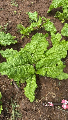 0f5772d2 166e 480c 923d 293703b441ef