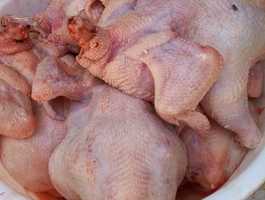 Whatsapp image 2026 01 25 at 3.38.50 pm