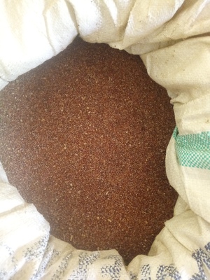 Img 20251209 141945 978