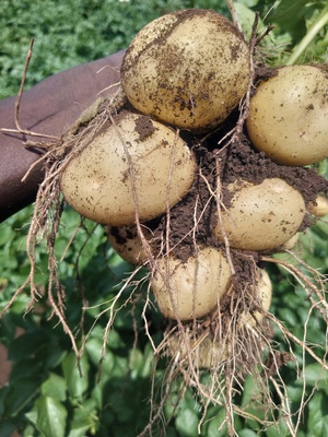 Img 20260227 114719 439