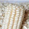 Maize produce