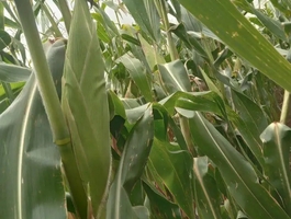 Screenshot 20260316 120623 facebook