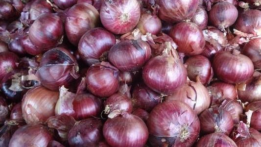 Russet