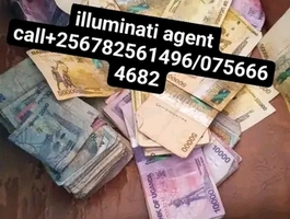 1778016175525
