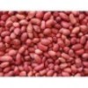 Groundnut seed 250x250 0x90