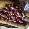 Img 20200624 100704