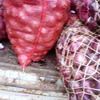 Img 20201203 093224 033