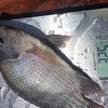 Img 20210508 wa0013