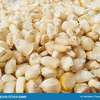 Closeup view white corn maize seeds selective focus 198470084