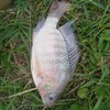 Img 20211228 wa0014