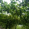 Img 20211210 wa0013