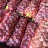 Img 20201012 wa0005