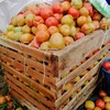 Img 20210814 wa0001