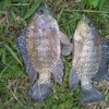 Img 20211228 wa0013