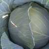 Img 20210614 wa0054