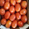 Img 20200609 wa0007