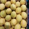 Img 20220824 wa0021