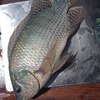 Img 20210508 wa0014