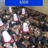 9060392