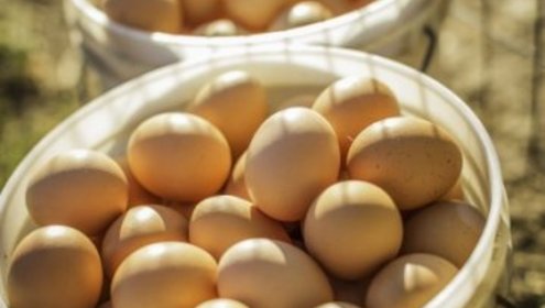Farmeggs