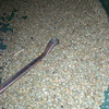 Img 20180618 181951